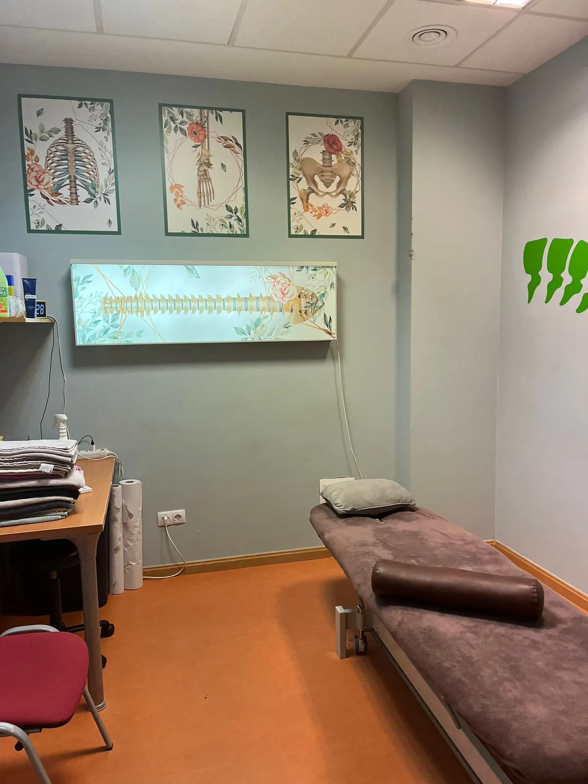 Box de fisioterapia decorado con láminas de anatomía